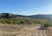 Terreno no urbanizable en venta en la España, Dílar, ref: TR124708 foto