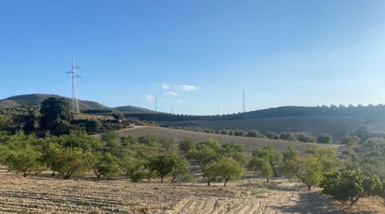 Granada - Dílar - 17974m2