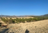 Terreno no urbanizable en venta en la España, Dílar, ref: TR124708 foto