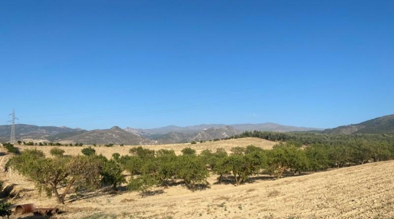Granada - Dílar - 17974m2