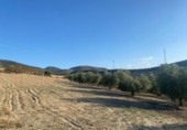 Terreno no urbanizable en venta en la España, Dílar, ref: TR124708 foto