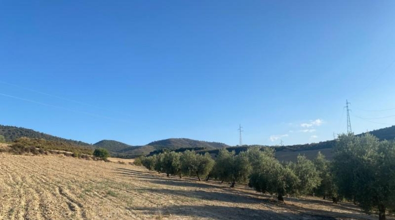 Granada - Dílar - 17974m2