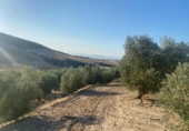Terreno no urbanizable en venta en la España, Dílar, ref: TR124708 foto