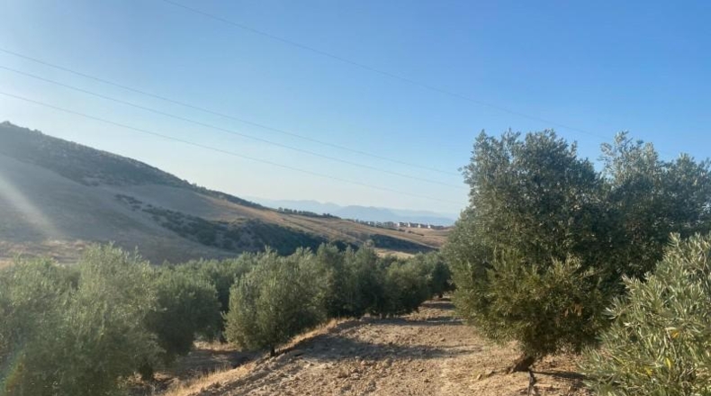 Granada - Dílar - 17974m2