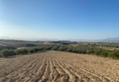 Terreno no urbanizable en venta en la España, Dílar, ref: TR124708 foto