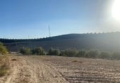 Terreno no urbanizable en venta en la España, Dílar, ref: TR124708 foto
