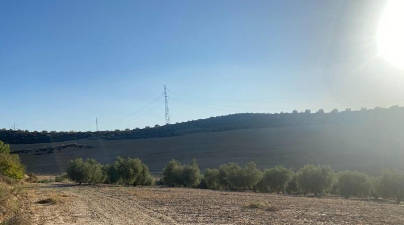 Granada - Dílar - 17974m2