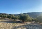 Terreno no urbanizable en venta en la España, Dílar, ref: TR124708 foto