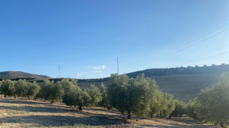 Granada - Dílar - 17974m2