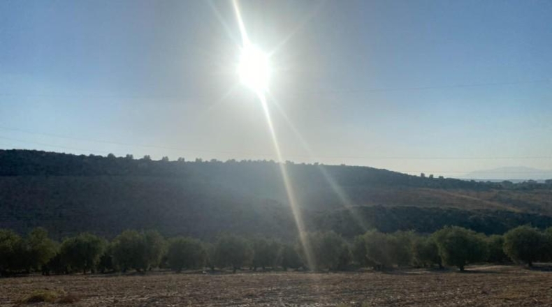 Granada - Dílar - 17974m2