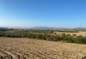 Terreno no urbanizable en venta en la España, Dílar, ref: TR124708 foto