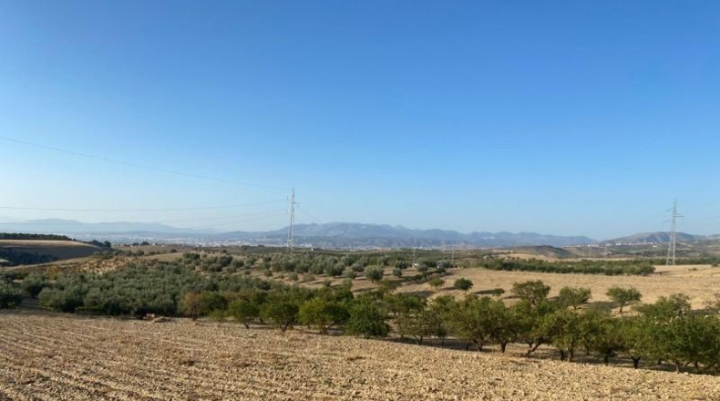 Granada - Dílar - 17974m2