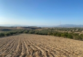 Terreno no urbanizable en venta en la España, Dílar, ref: TR124708 foto