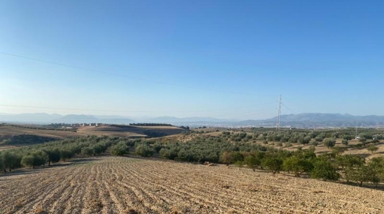Granada - Dílar - 17974m2