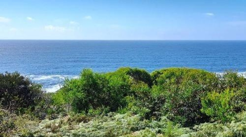 Pontevedra - Oia - 2010m2
