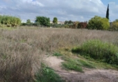 Terreno no urbanizable en venta en la España, Molina de Segura, ref: TR248186 foto