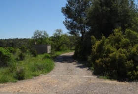 Foto 12