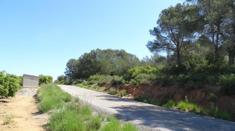 Valencia - Villamarchante - 12700m2