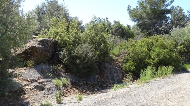 Valencia - Villamarchante - 12700m2