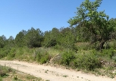Terreno no urbanizable en venta en la España, Villamarchante, ref: TR320426 foto