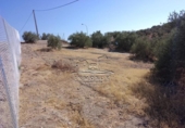 Parcel·la urbanitzable en venda a la España, Lucena, ref.: TR241762 foto