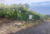 Terreno no urbanizable en venta en la España, Pino Alto-Santa Úrsula, ref: TR317886 foto