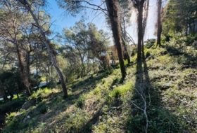 Alzira 1197&nbsp;m²