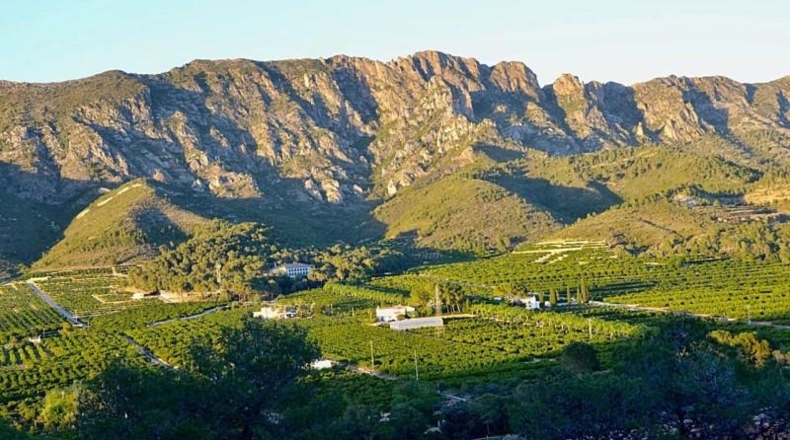 València - Alcira - 1197m2