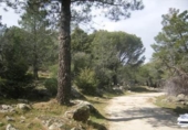 Terreno no urbanizable en venta en la España, Cebreros, ref: TR112884 foto