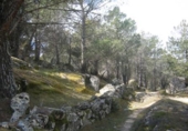 Terreno no urbanizable en venta en la España, Cebreros, ref: TR112884 foto