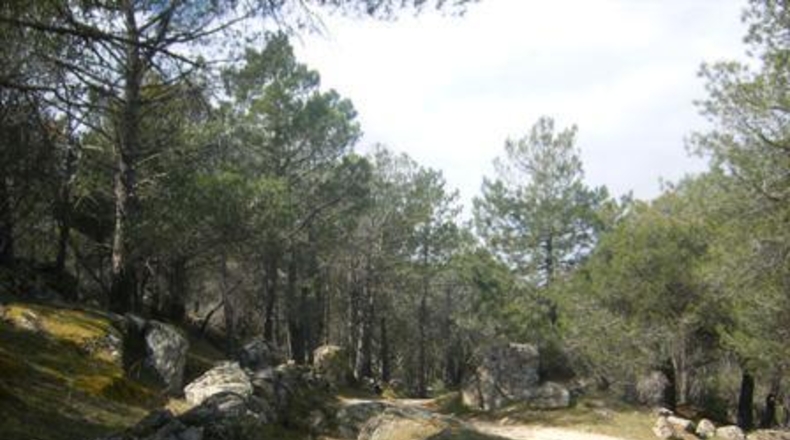 Ávila - Cebreros - 32537m2
