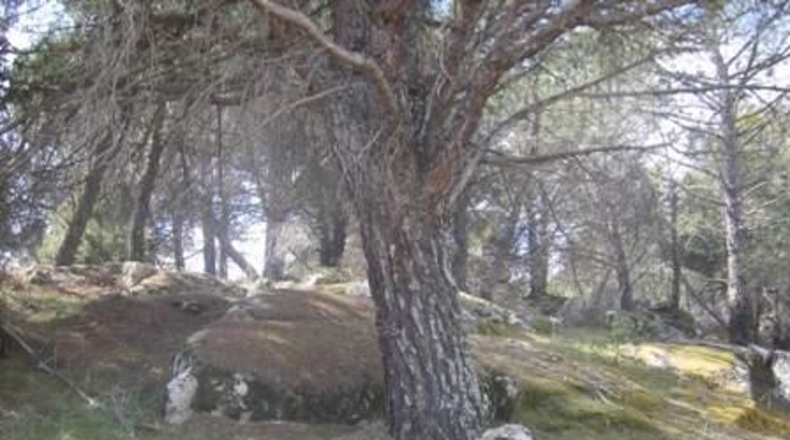 Ávila - Cebreros - 32537m2