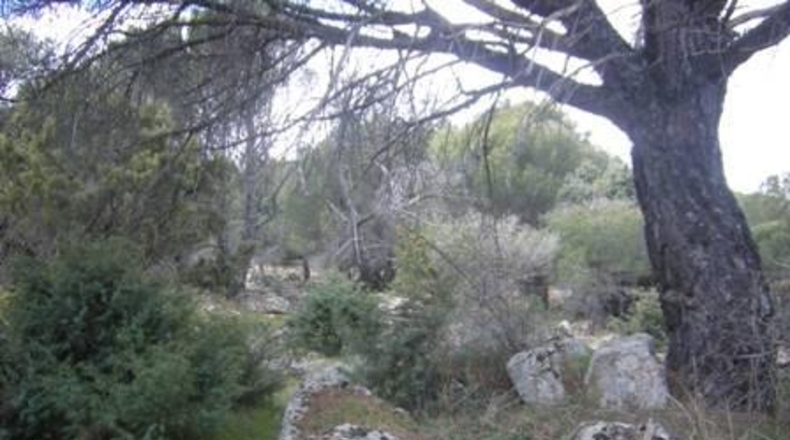 Ávila - Cebreros - 32537m2