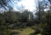 Terreno no urbanizable en venta en la España, Cebreros, ref: TR112884 foto