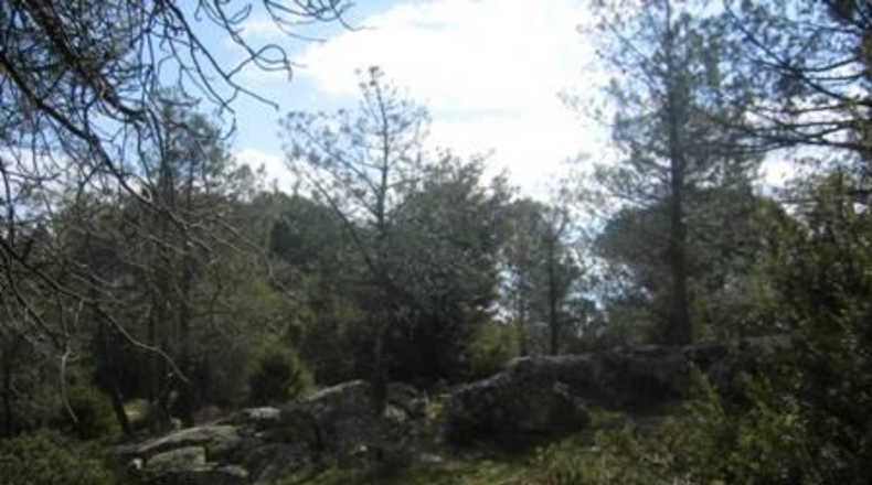 Ávila - Cebreros - 32537m2
