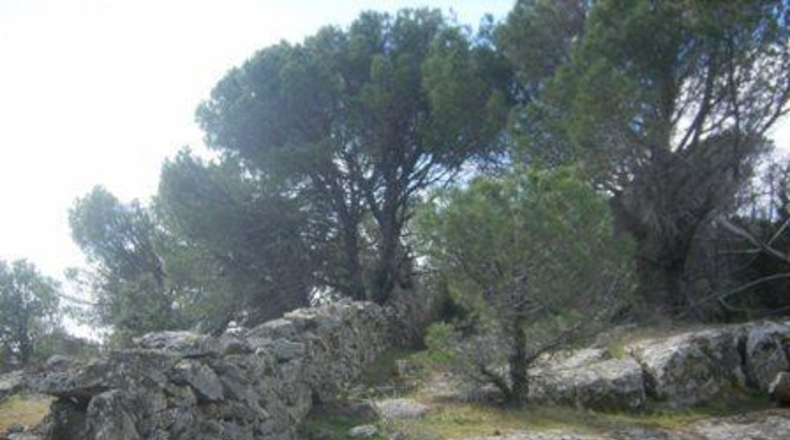 Ávila - Cebreros - 32537m2
