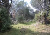 Terreno no urbanizable en venta en la España, Cebreros, ref: TR112884 foto