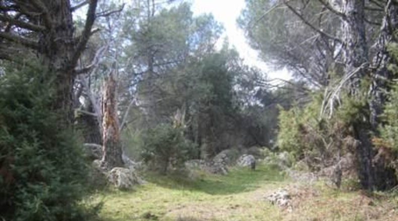 Ávila - Cebreros - 32537m2