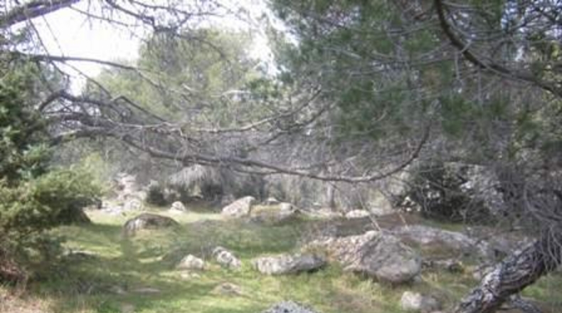 Ávila - Cebreros - 32537m2