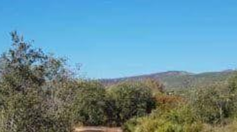 Valencia - Benicolet - 77332m2