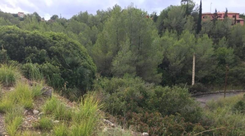 Barcelona - Olivella - 857m2
