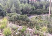 Suelo urbano en venta en la España, Olivella, ref: TR286595 foto