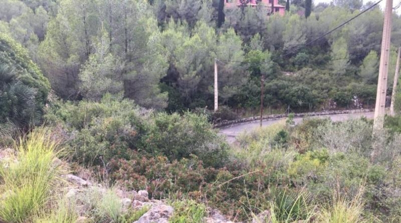 Barcelona - Olivella - 857m2