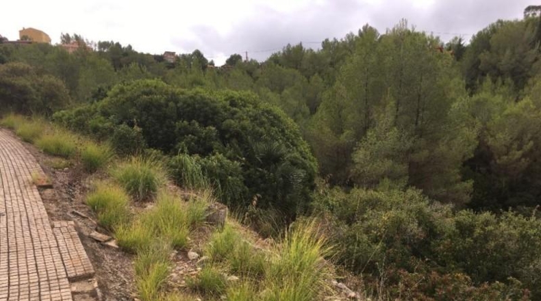 Barcelona - Olivella - 857m2
