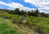 Terreno no urbanizable en venta en la España, Benissoda, ref: TR410824 foto