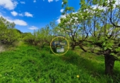 Terreno no urbanizable en venta en la España, Benissoda, ref: TR410824 foto