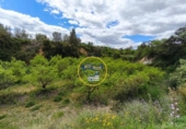 Terreno no urbanizable en venta en la España, Benissoda, ref: TR410824 foto