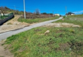 Suelo urbano en venta en la España, Bembibre, ref: TR218339 foto