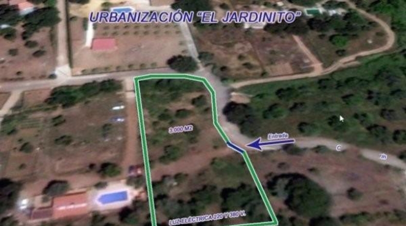 Córdoba - Córdoba - 3000m2