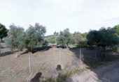 Land suitable for development for sale on España, Encinarejo de Córdoba, ref: TR219022 photo